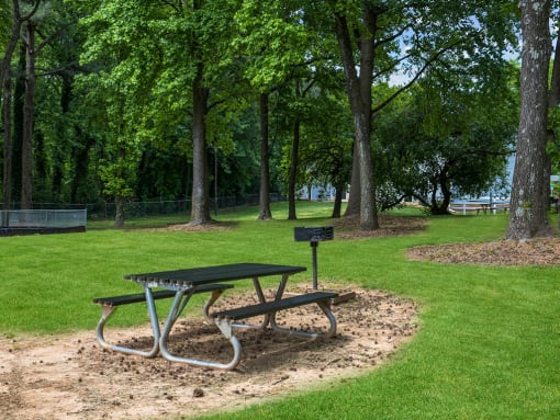 Grill and picnic area at Tryon Village in Raleigh NC