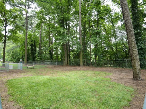 Pet friendly dog park Tryon Village apartments in Raleigh NC