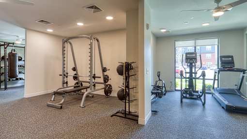 A well-equipped gym with a variety of exercise machines and weights.