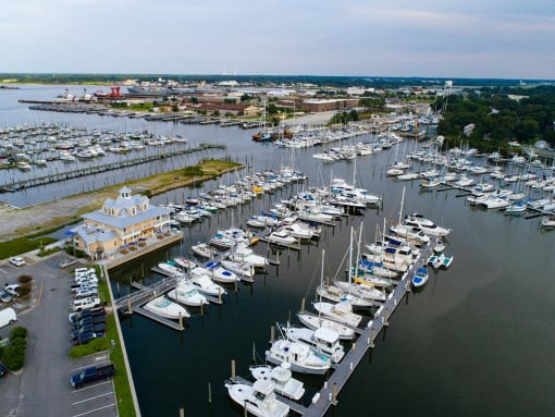a marina filled with lots of white boats at The Port at East Beach Apartments and Marina, Norkfolk, VA, 23518