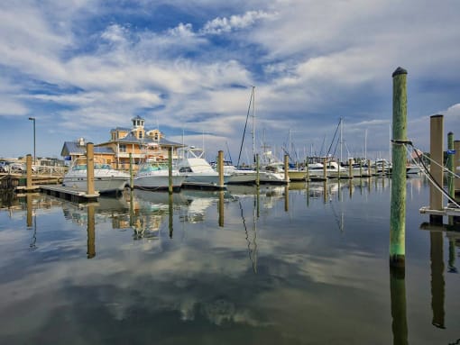 a row of boats docked in the water at a marina at The Port at East Beach Apartments and Marina, Virginia, 23518