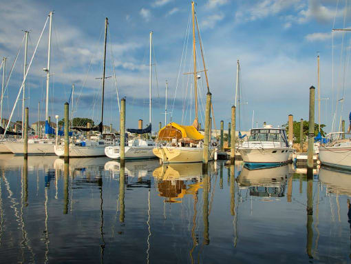 a row of boats docked in the water at a marina at The Port at East Beach Apartments and Marina, Virginia