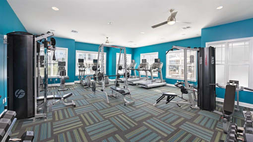 a gym with a lot of exercise equipment in it at Addison Crater Woods, Petersburg, VA 23805