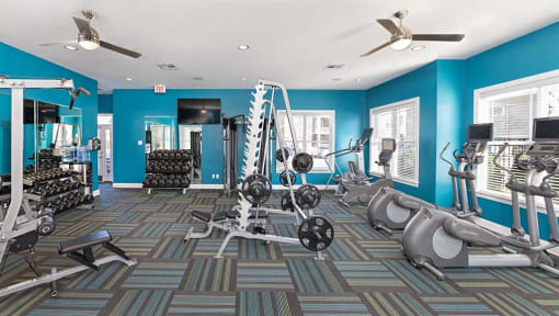 a gym with a lot of exercise equipment at Addison Crater Woods, Petersburg, 23805