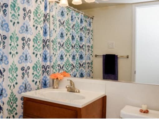 Bathroom at Conway Garden Apartments in Williamsburg VA