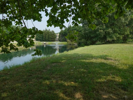 Lake at Poquoson Apartments for Rent