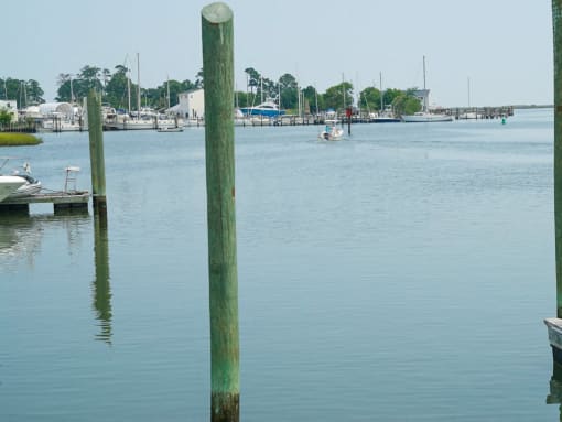 Wythe Creek Apartments Waterfront Scene
