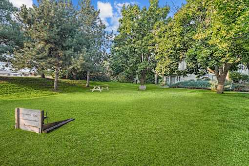 A park with a bench and trees.