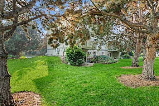 A house is surrounded by a green lawn and trees.
