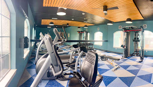 A gym with a variety of equipment including treadmills, weights, and a bench press.