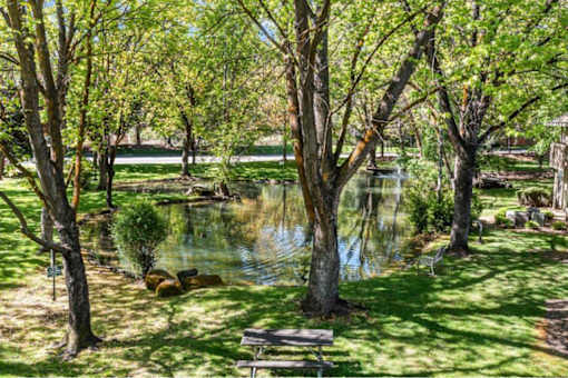 A serene park with a pond, trees, and a bench.