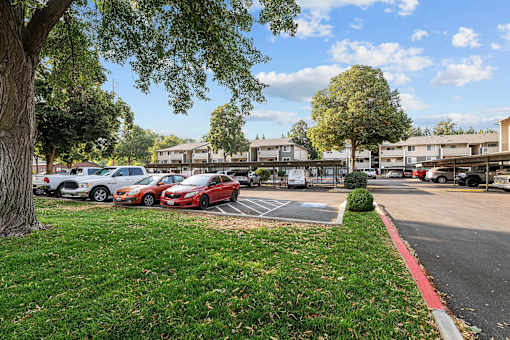 A parking lot with cars and trees.