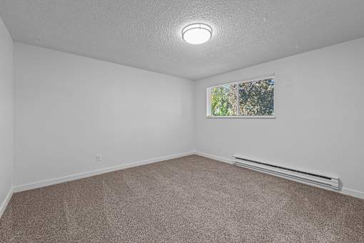 A room with a carpeted floor and a window with a view of trees.