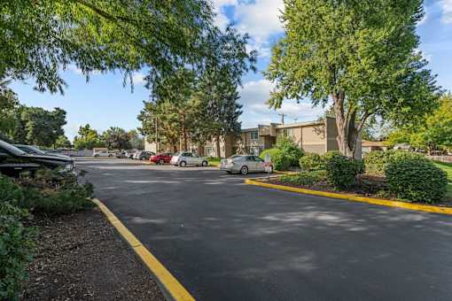 A parking lot with cars and trees.