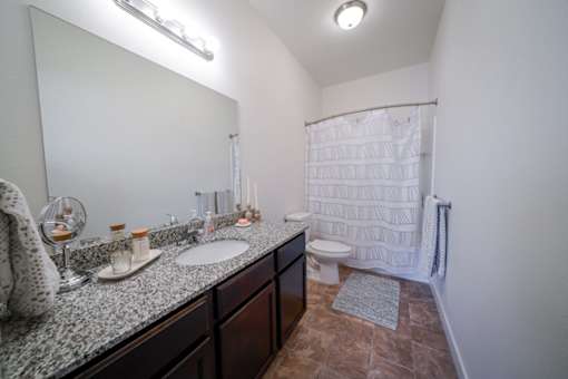 A bathroom with a sink, mirror, toilet, and shower.