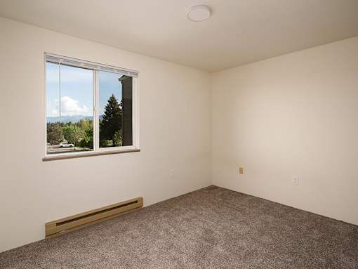 A room with a window and a carpeted floor.