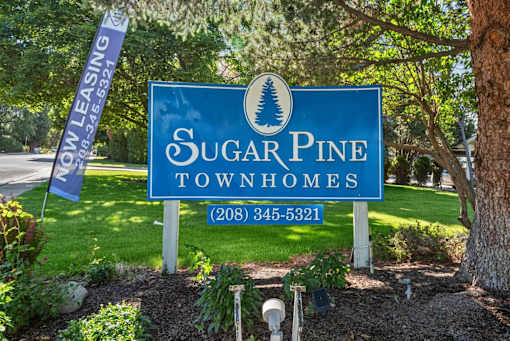 A Sugar Pine Townhomes sign with a phone number on it.