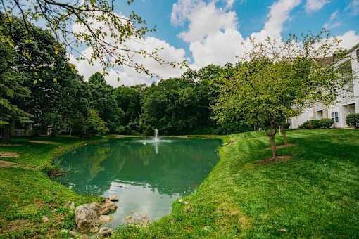 A serene garden with a pond and a fountain.
