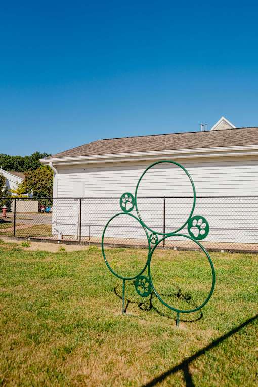 A green metal sculpture of a dog and paw prints sits in the grass in front of a white building.