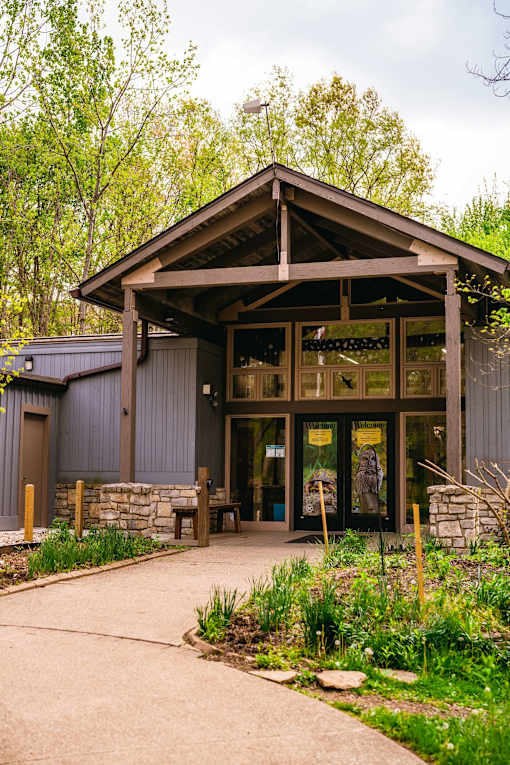 A building with a brown roof and glass windows is surrounded by greenery.