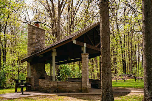 A small stone building with a chimney is surrounded by trees.
