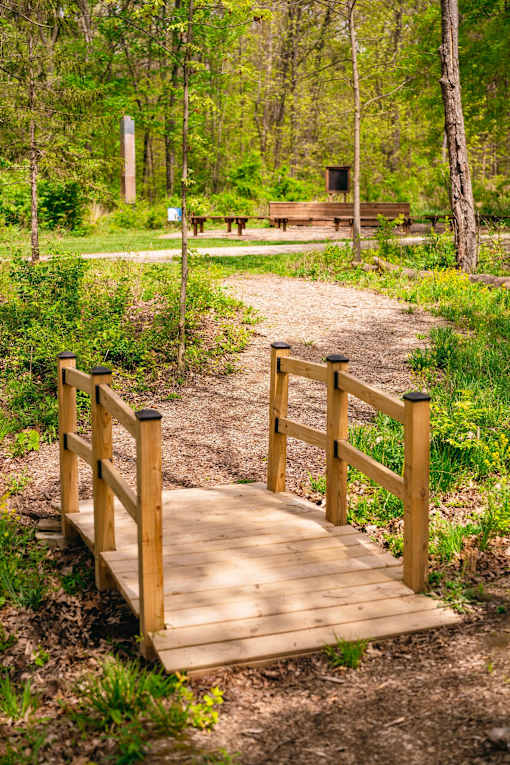A wooden bridge crosses a dirt path in a green forest.
