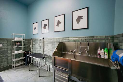 A kitchen area with a sink and a stove.