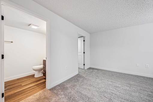 A white bathroom with a toilet and a carpeted floor.