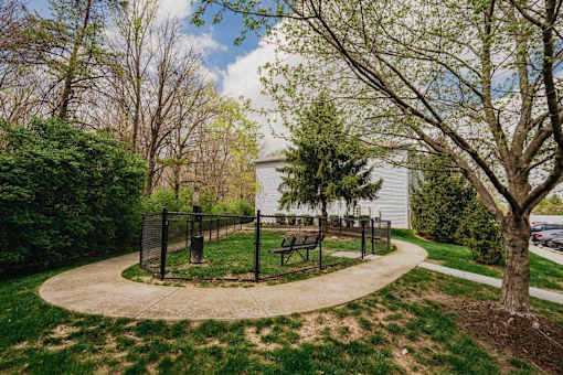 A playground with a swing set and a tree in the foreground.
