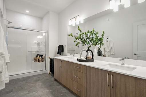 A bathroom with a large mirror, a sink, and a plant on the counter.