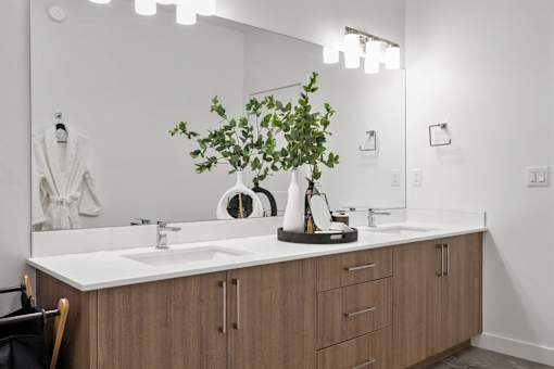 A bathroom with a white counter top and a plant on it.