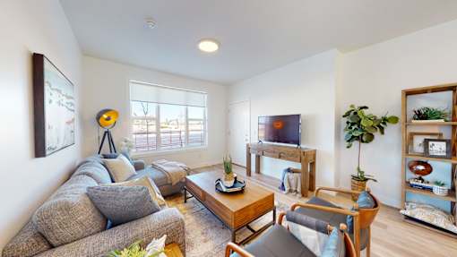 A living room with a grey couch, a wooden coffee table, a TV, and a potted plant.
