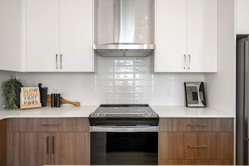 A modern kitchen with a stove top oven and a plant on the counter.