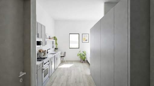 A modern kitchen with a dining area and a potted plant.