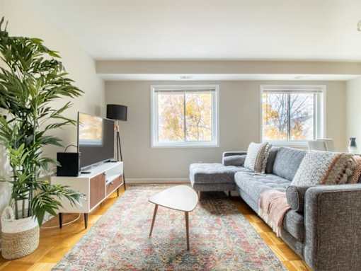 A living room with a grey couch, a television, and a plant.
