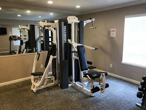 A gym with a mirror, weights, and a Parade brand machine.