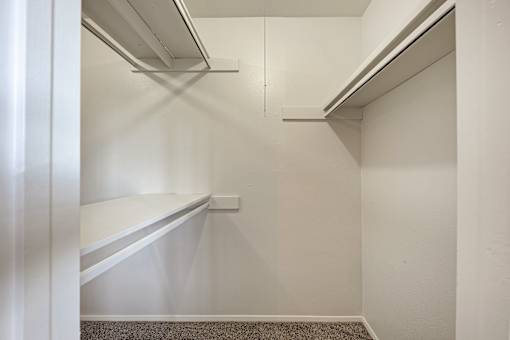 A white closet with shelves and a carpeted floor.