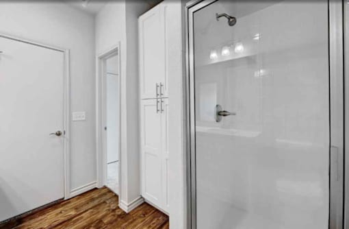A bathroom with a walk-in shower and a white door.