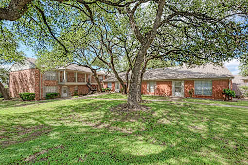 A tree in front of a house with a lawn.