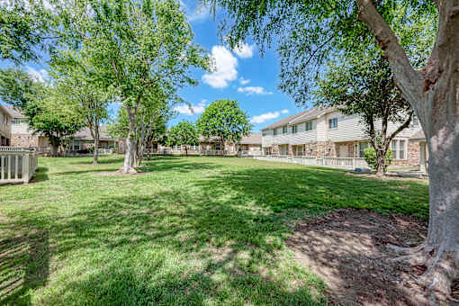 A tree in a yard with houses in the background.