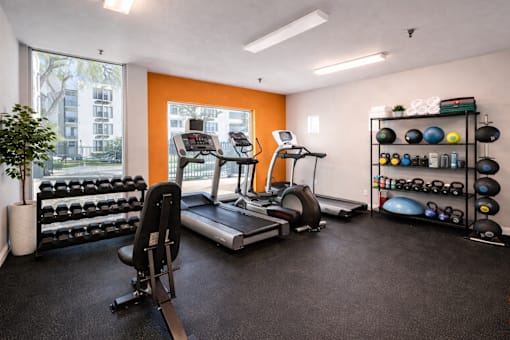 A gym with a treadmill, exercise bike, and weights.