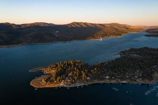 A small island with a forest and houses surrounded by water.