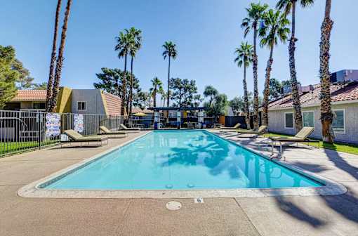 A large swimming pool surrounded by palm trees and lounge chairs.