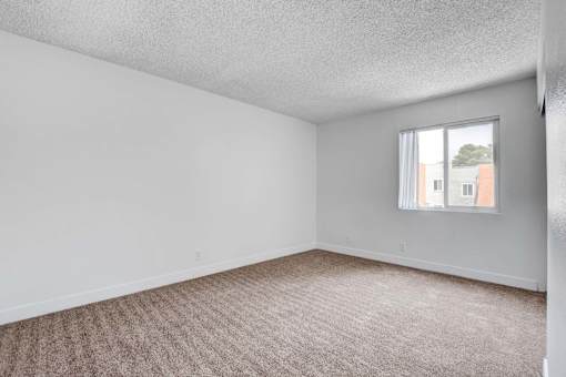 A room with a carpeted floor and a window showing a building outside.