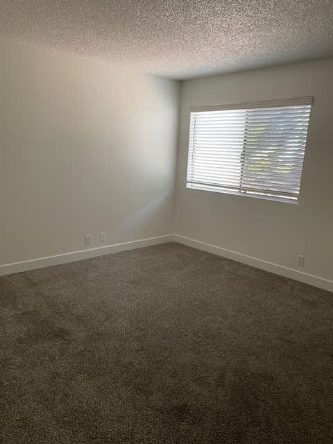 A room with a carpeted floor and a window with blinds.
