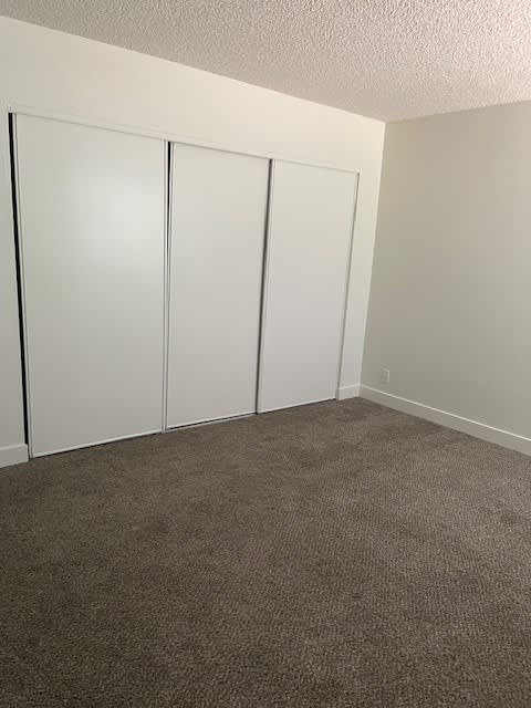 A room with three white closet doors and carpeted floor.