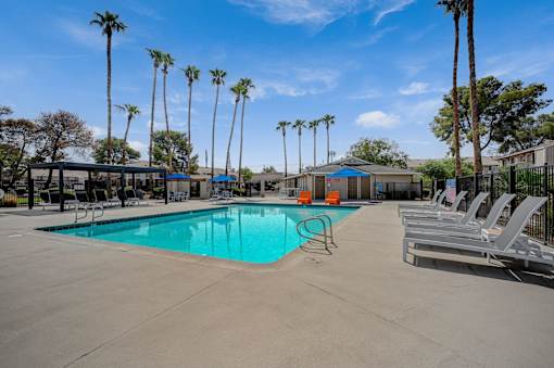 A pool surrounded by palm trees and lounge chairs.