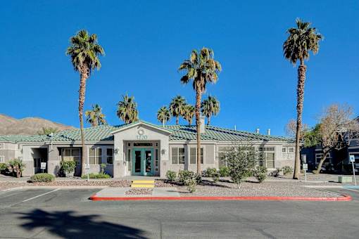A building with a green door is surrounded by palm trees.