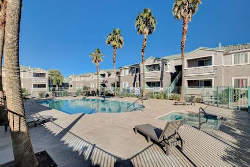 A pool surrounded by palm trees and a bench.