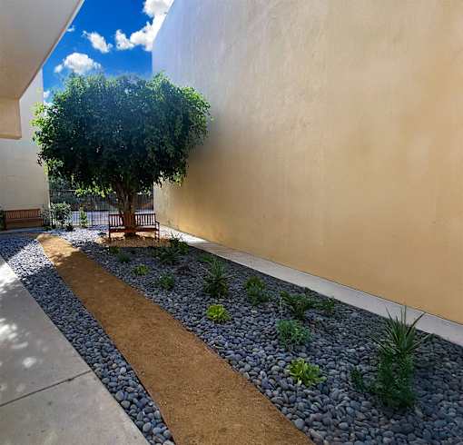 A tree is planted in a small garden.